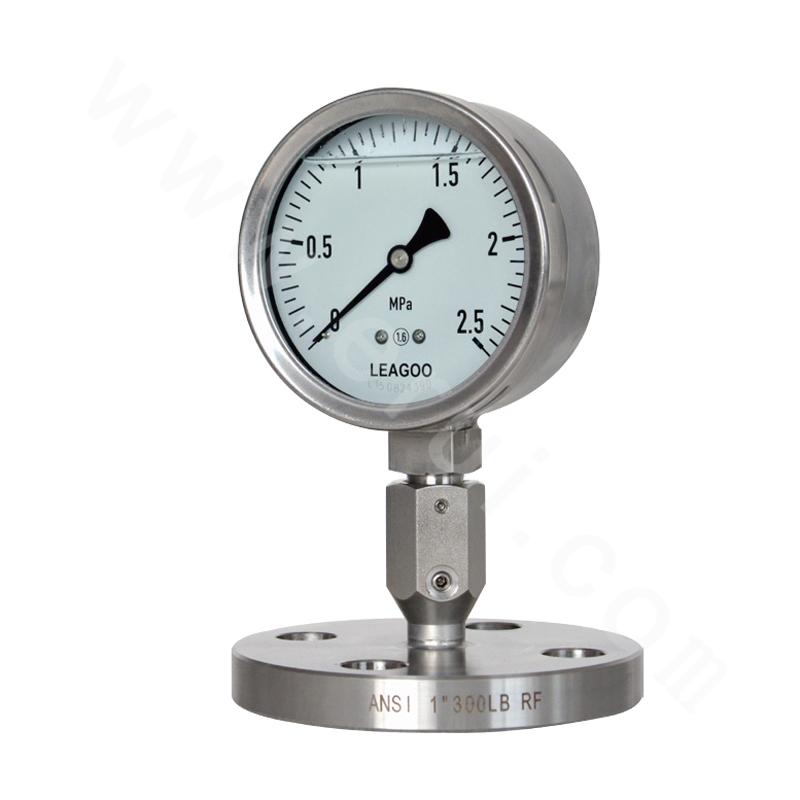 YTP Open Flange Type Diaphragmseal Pressure Gauge Buy LEAGOO YTP