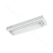 BHY Series Ceiling Type Explosion-proof Clean Fluorescent Lamp