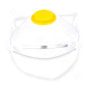 N95 Dust Mask with Filter